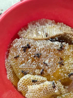 Original Honeycomb Honey