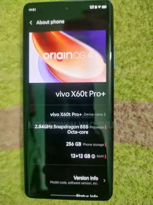Vivo X60 Pro+ 5G 256 GB
