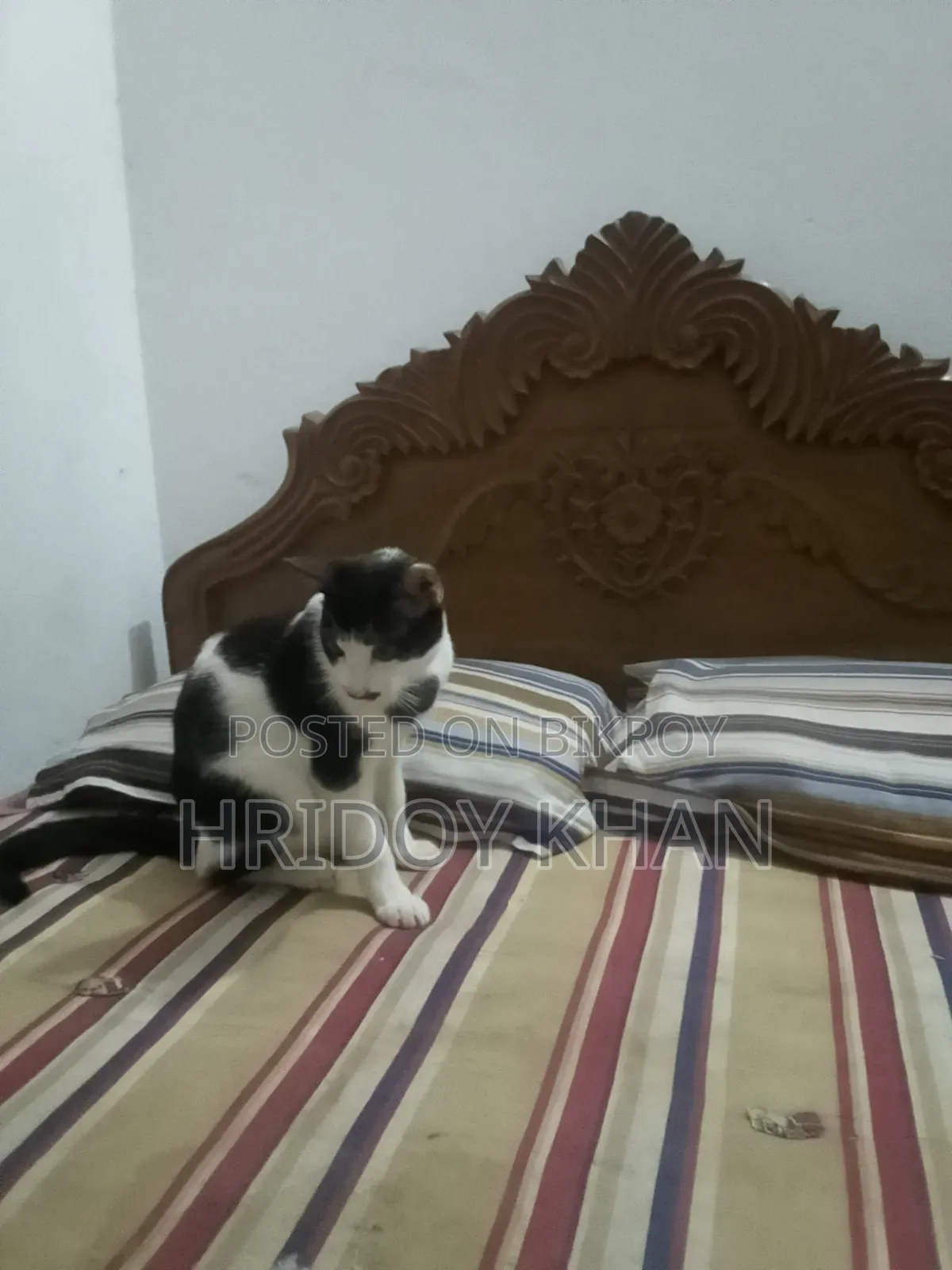 অরিজিনাল সেগুন কাঠ জাজিম সহ
