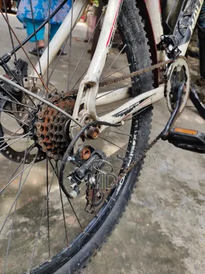 Cycle 26" Gear Emergency Sell