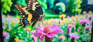 ৪৩ ইঞ্চি আমবালা অ্যান্ড্রয়েড এলইডি টিভি