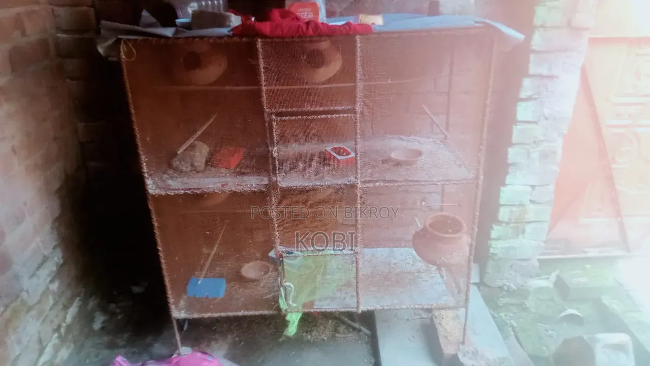 Bird Cage