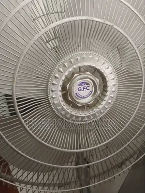 Stand Fan Used