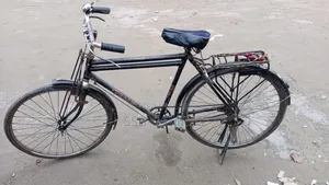 Phoenix Original 26" Bicycle For Sale
