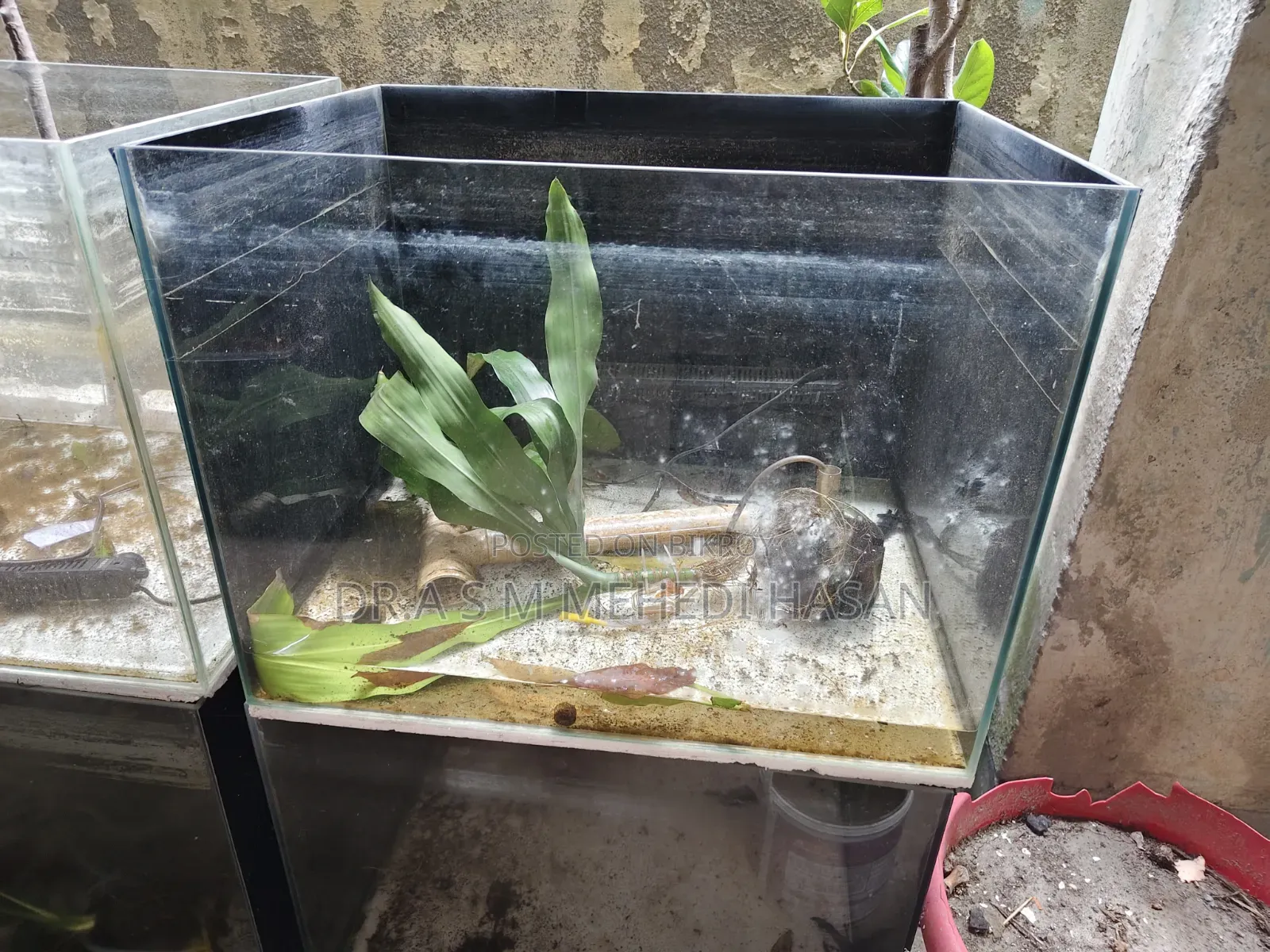 Aquarium