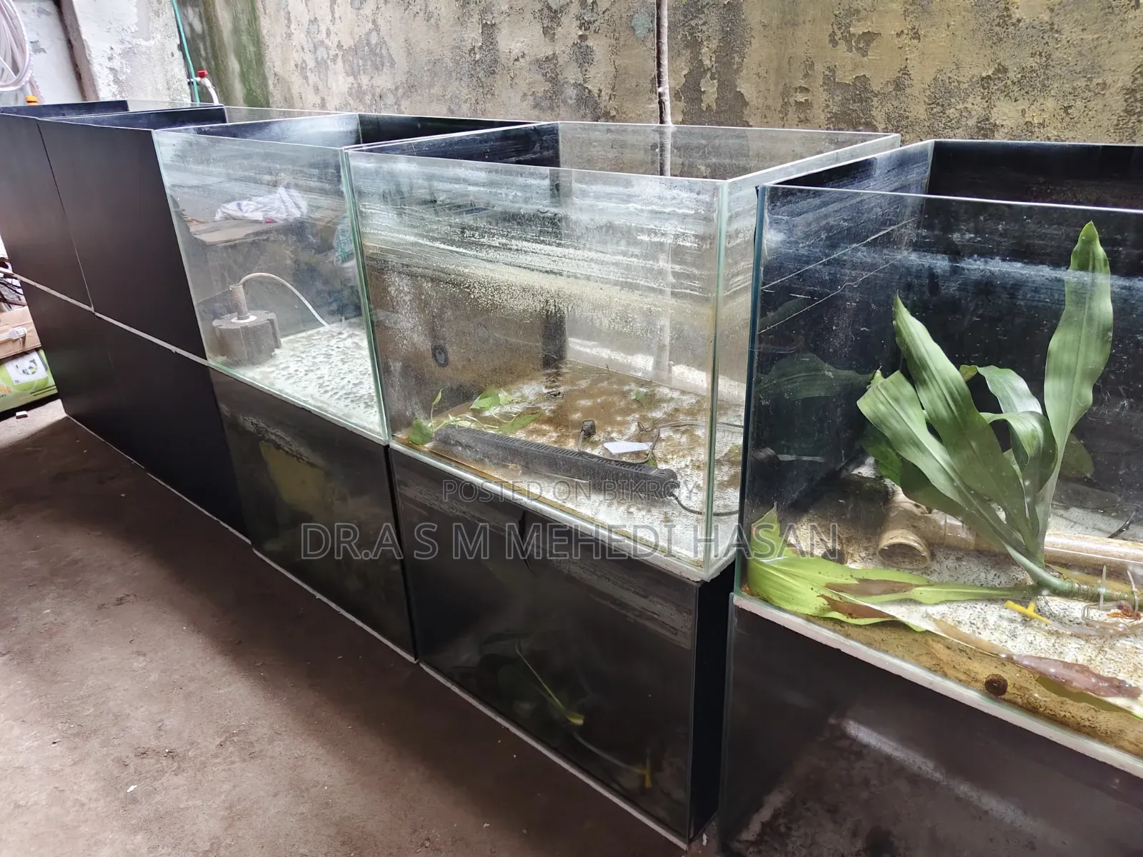 Aquarium
