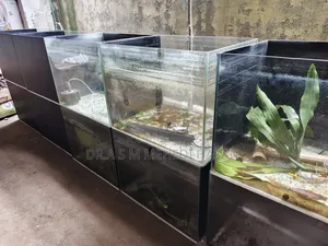 Aquarium