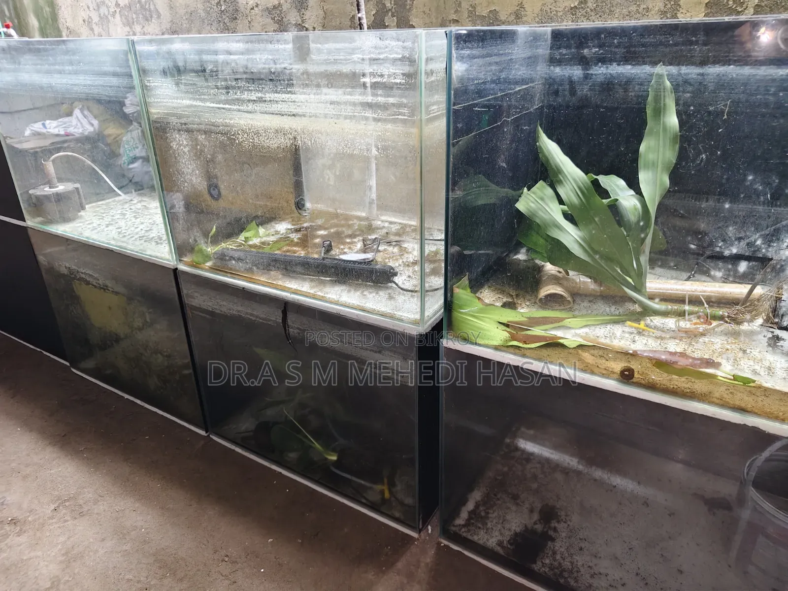 Aquarium
