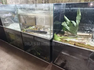Aquarium