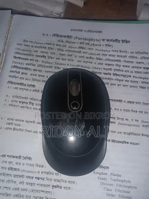 Delux Mouse