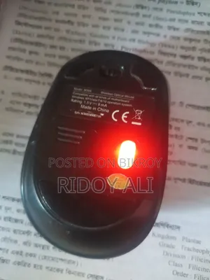 Delux Mouse