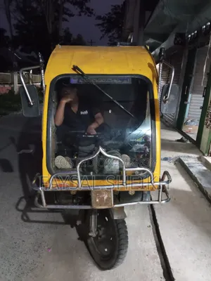 Auto Car Cover
