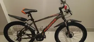 জরুরি ভিত্তিতে বিক্রি হবে (Phoenix Hydro)