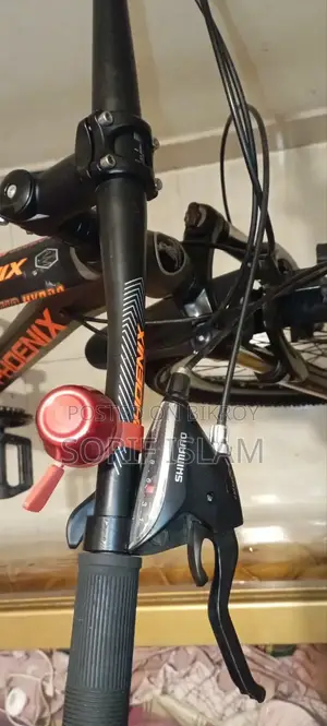জরুরি ভিত্তিতে বিক্রি হবে (Phoenix Hydro)