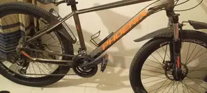 জরুরি ভিত্তিতে বিক্রি হবে (Phoenix Hydro)