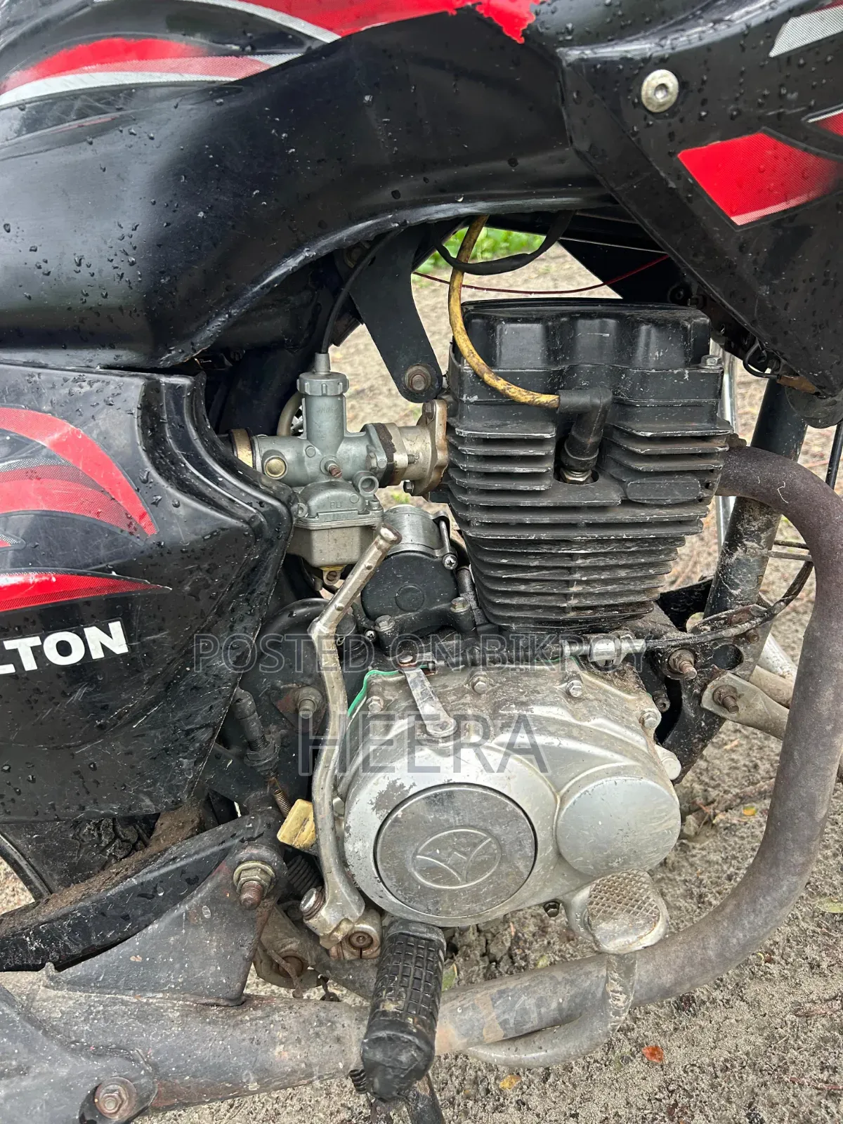 Walton Fusion 125 EX 2014 Black
