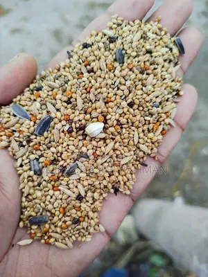 Seed Mix Bird Food