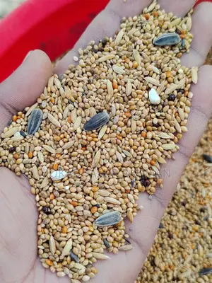 Seed Mix Bird Food