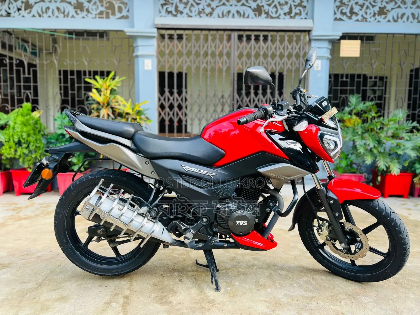 TVS Raider 125 2023 Red