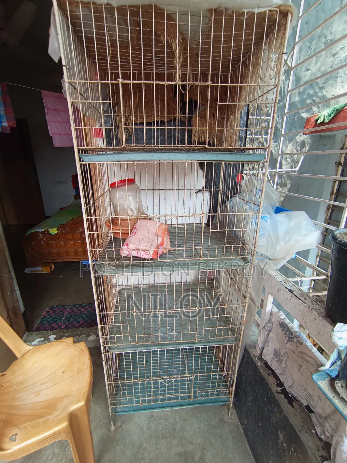Chicken, Pigeon Cage
