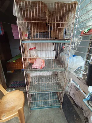Chicken, Pigeon Cage