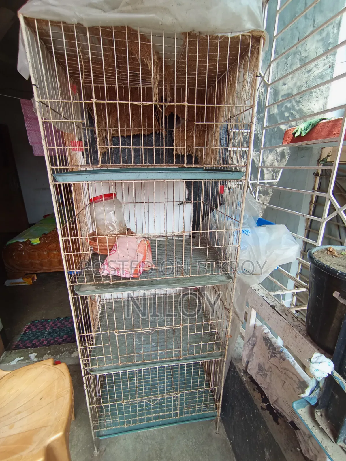 Chicken, Pigeon Cage