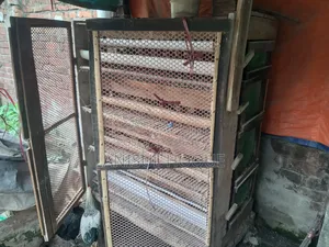Running Japanese Quail - Quail Bird for Sale
