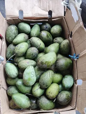 Mango-Rupali