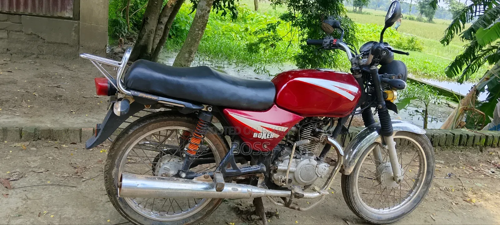 Bajaj Boxer 100 2023 Red