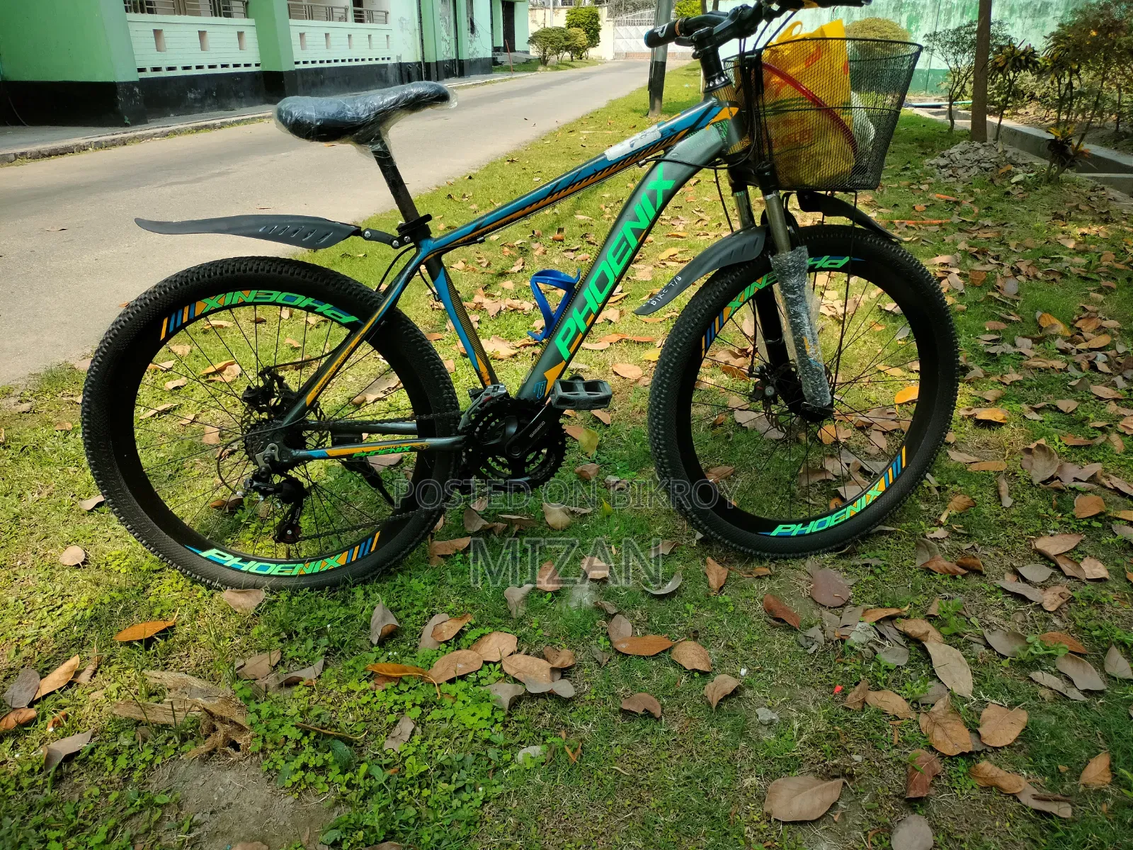 Phoenix Cycle