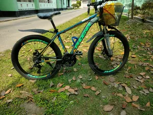 Phonix Cycel
