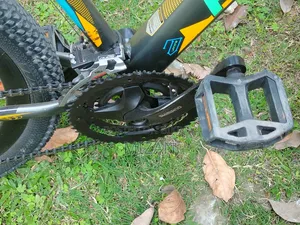 Phoenix Cycle