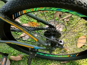 Phoenix Cycle
