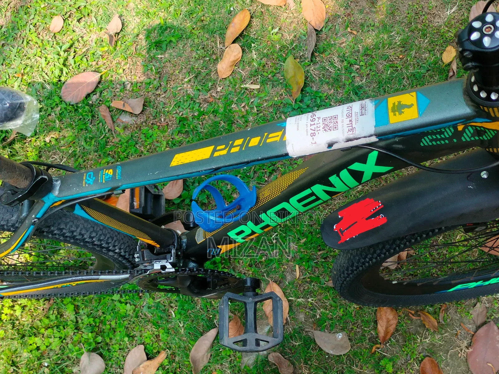 Phoenix Cycle