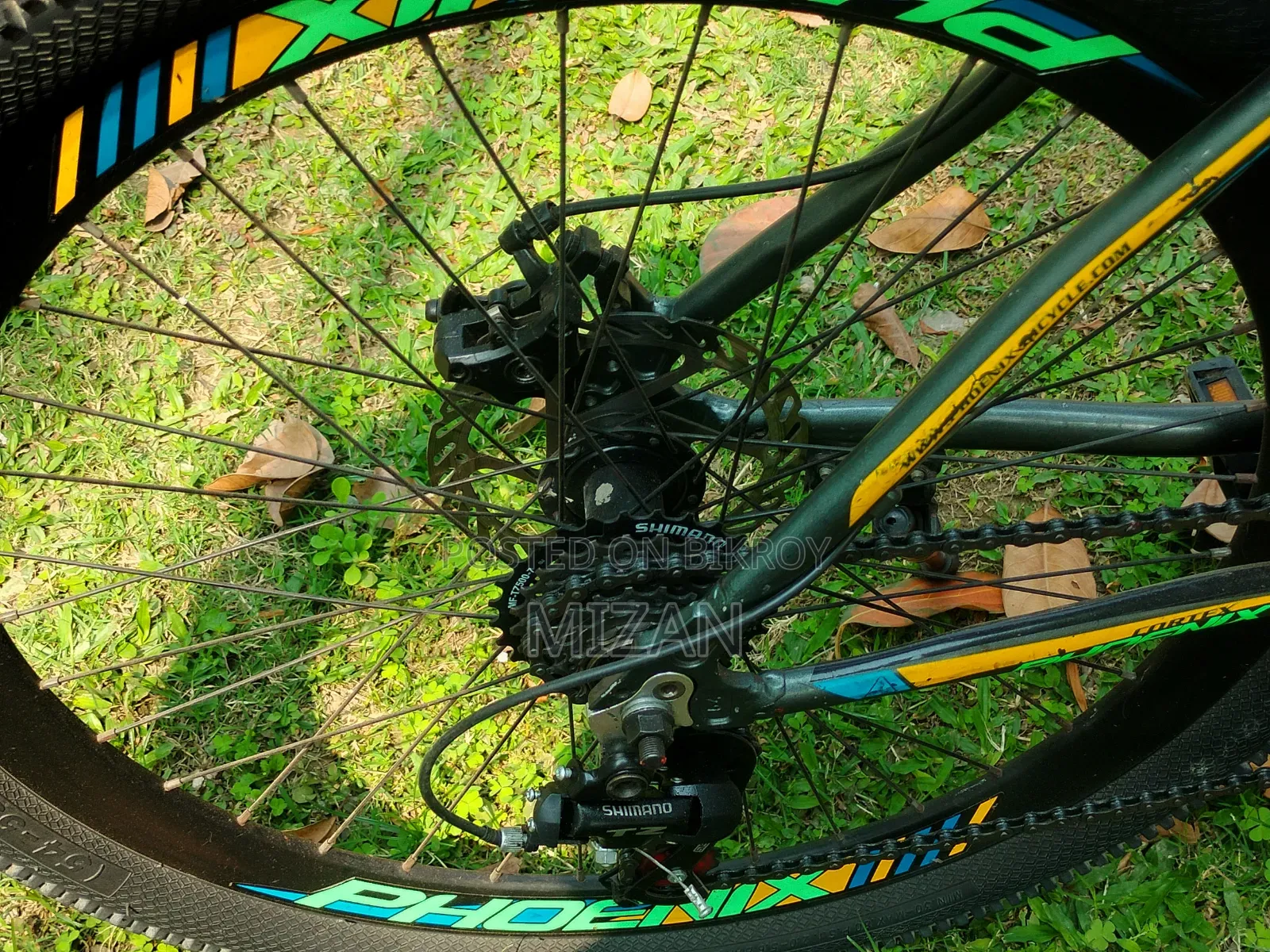 Phoenix Cycle