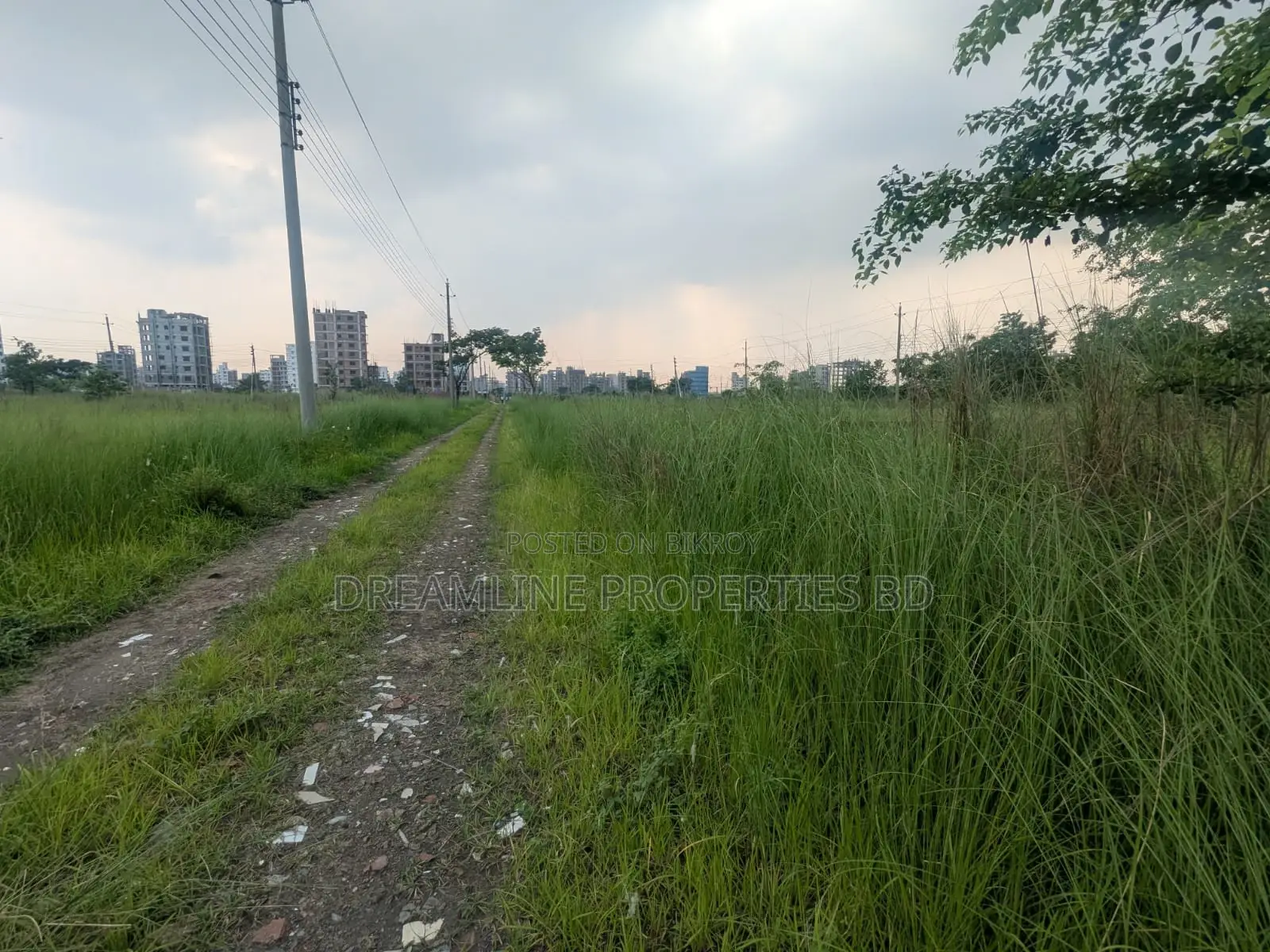 3 Katha South Facing Plot for Sale in N Block, Bashundhara R/A
