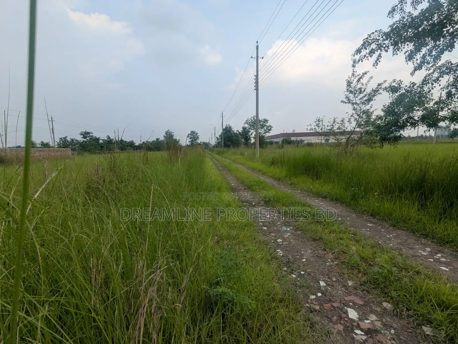 3 Katha South Facing Plot for Sale in N Block, Bashundhara R/A