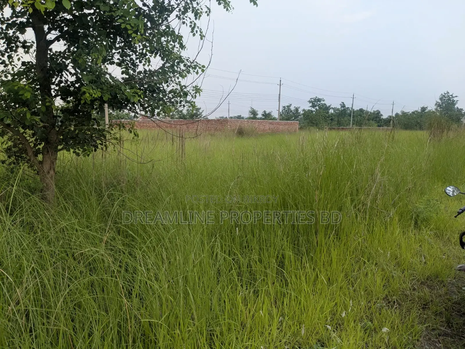 3 Katha South Facing Plot for Sale in N Block, Bashundhara R/A