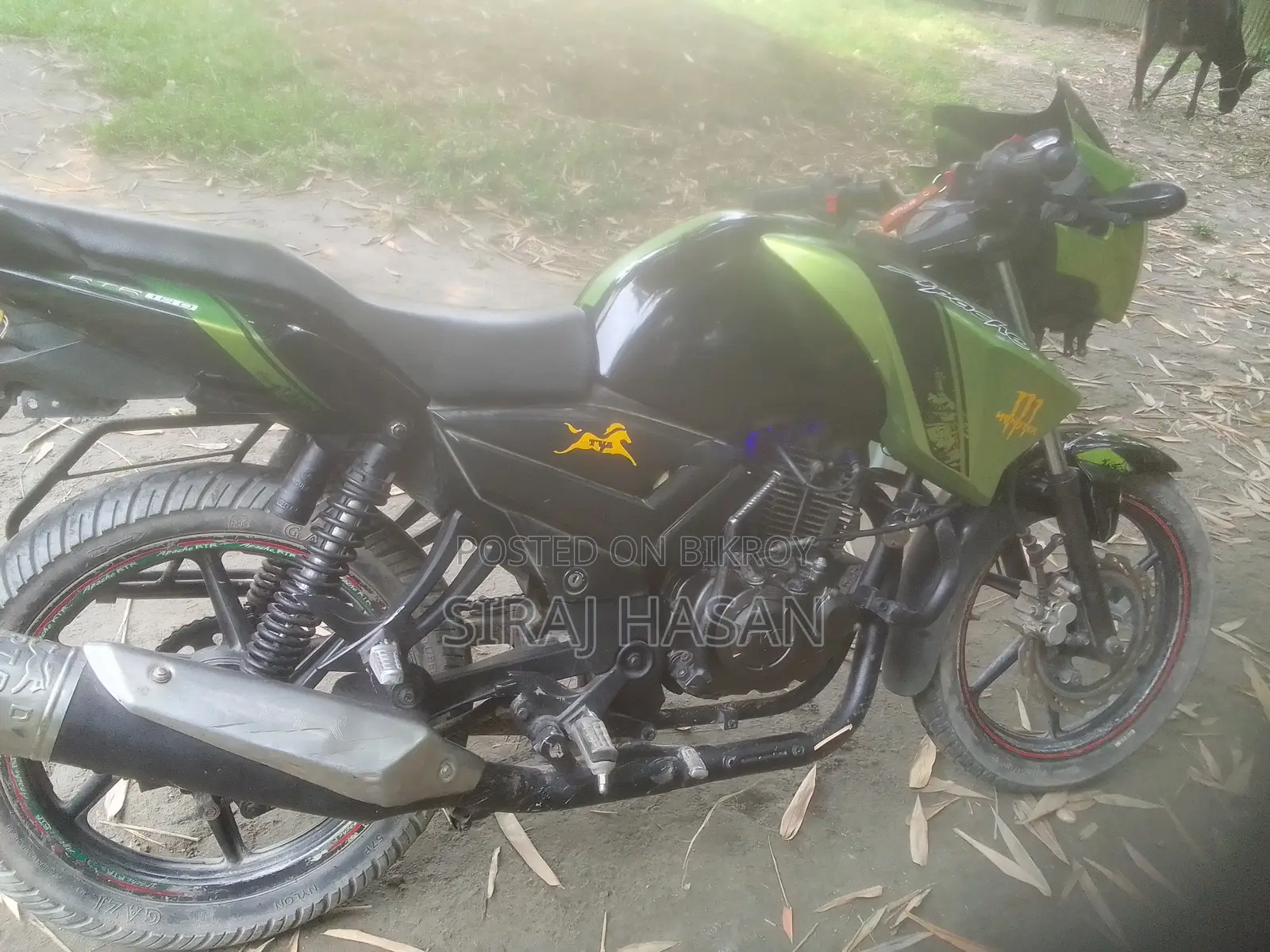 TVS Apache RTR 160 2V 2019 Green