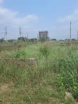 বসুন্ধরা মুশক প্রজেক্ট প্লট বিক্রয়