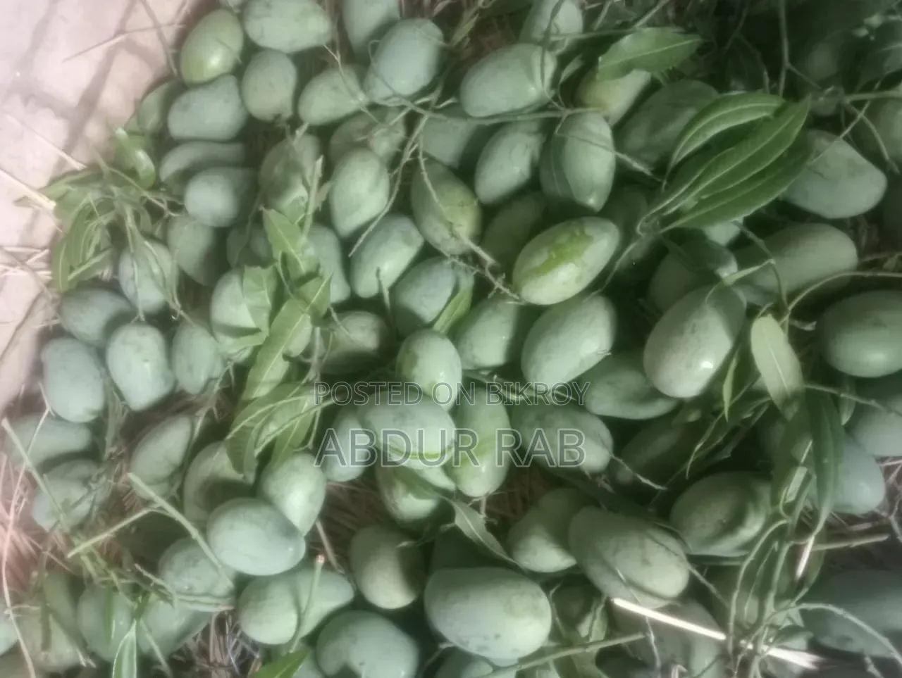 Famous Rupali Mangoes from Rajshahi