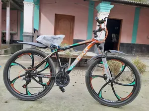 Phoenix Tornado Bicycle
