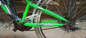 Phoenix Bicycle