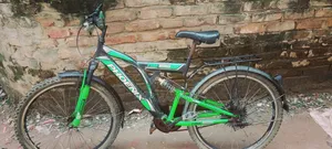 Phoenix Bicycle