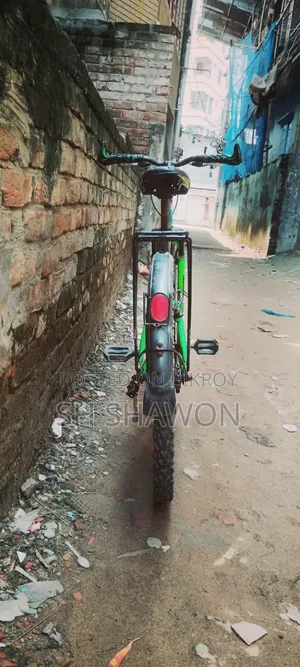 Phoenix Bicycle