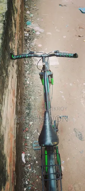 Phoenix Bicycle