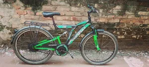 Phoenix Bicycle