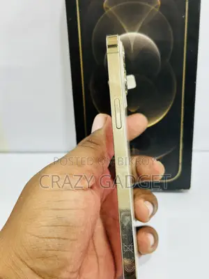 Apple iPhone 12 Pro Max 256 GB Gold