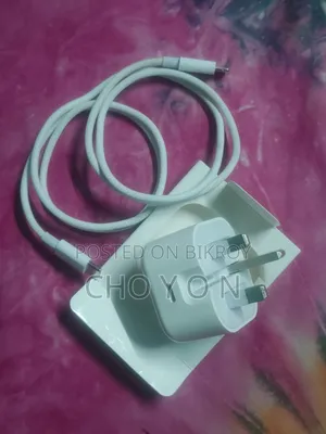 Apple's Original Adaptor