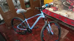 Bicycle for sale